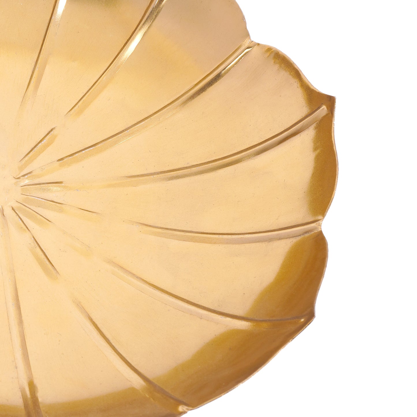 The Lumen Plate