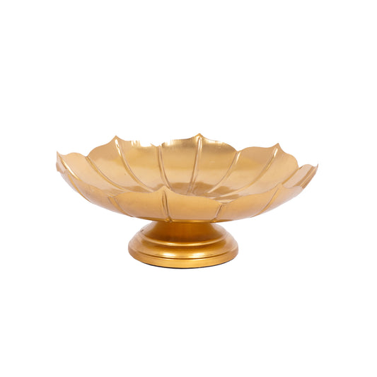 The Lumen Plate